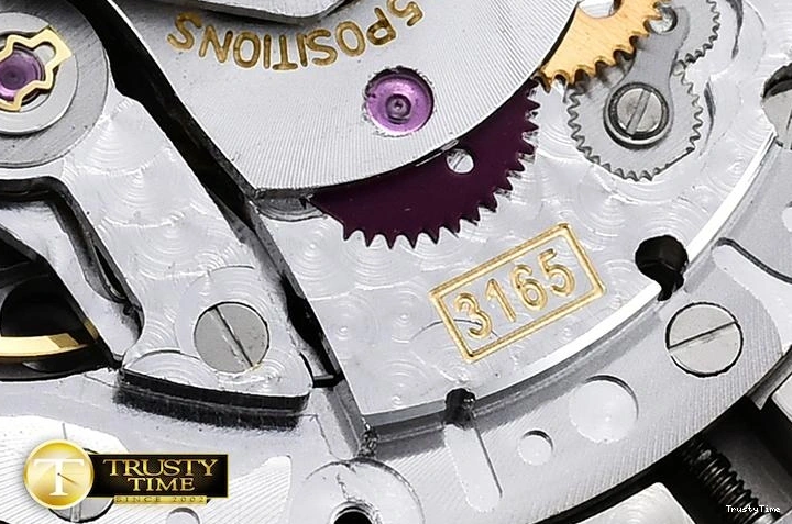 0509 Efficient ROLCEL072A – Cellini 875
